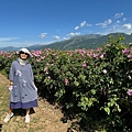IMG_2204.jpeg