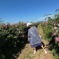 IMG_2199.jpeg