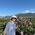 IMG_2179.jpeg
