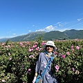 IMG_2177.jpeg