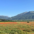 IMG_2159.jpeg