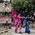 IMG_2118.jpeg
