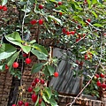 IMG_2400.jpeg