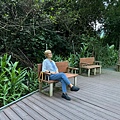 IMG_5353.jpeg