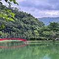 IMG_5335.jpeg