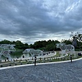 IMG_5314.jpeg
