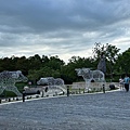 IMG_5313.jpeg
