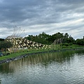 IMG_5308.jpeg