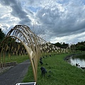 IMG_5304.jpeg