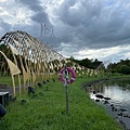IMG_5299.jpeg