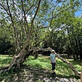 IMG_5260.jpeg