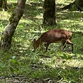 IMG_5249.jpeg