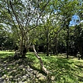 IMG_5258.jpeg