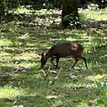 IMG_5254.jpeg