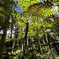 IMG_5230.jpeg