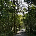 IMG_5223.jpeg
