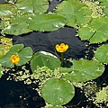 IMG_5220.jpeg