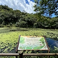IMG_5219.jpeg