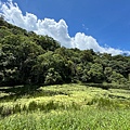 IMG_5213.jpeg