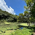 IMG_5218.jpeg