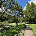 IMG_5217.jpeg
