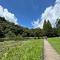 IMG_5215.jpeg