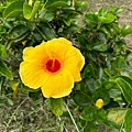 IMG_5689.jpeg