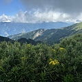 IMG_5723.jpeg