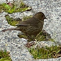 IMG_5742.jpeg