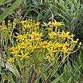 IMG_5731.jpeg