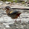 IMG_5749.jpeg