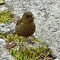 IMG_5744.jpeg