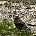 IMG_5756.jpeg