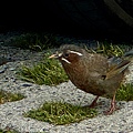 IMG_5759.jpeg