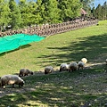 IMG_5825.jpeg