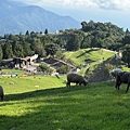 IMG_5828.jpeg