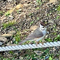 IMG_5838.jpeg