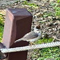 IMG_5845.jpeg