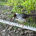 IMG_5847.jpeg