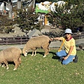 IMG_5851.jpeg