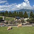 IMG_5853.jpeg