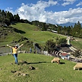 IMG_5857.jpeg