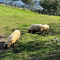 IMG_5873.jpeg