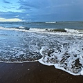 IMG_7366.jpeg