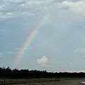 IMG_6739.jpeg