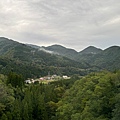 IMG_7961.jpeg
