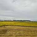IMG_7963.jpeg