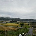 IMG_7962.jpeg