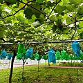 IMG_7966.jpeg