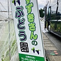 IMG_7979.jpeg